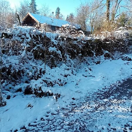 Chalet Barvaux Met Grote Tuin Durbuy Zewnętrze zdjęcie